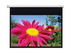 Optoma DE-1109EGA projectiescherm 16:10 109 Inch
