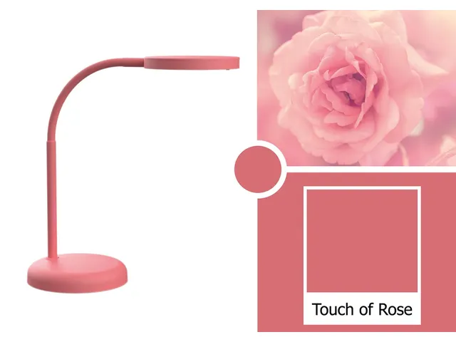 bureaulamp MAULjoy, LED-lamp, roze