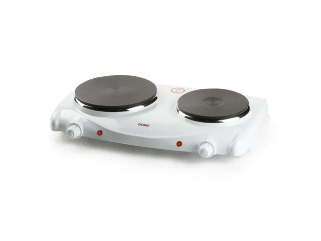 Elektrische Kookplaat 2 Pits 6 Standen 1000-1500W Wit