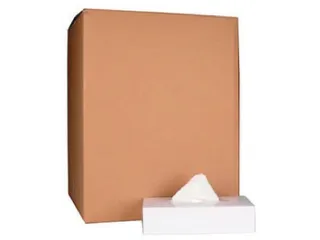 Papieren zakdoek 2-laags wit 100 tissues per doos, pak à 40 stuks - 1