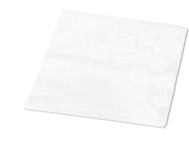 Serviette Tork 13671 Xpressnap Snack Extra douce 2 ép Pli-1/4 Blanc