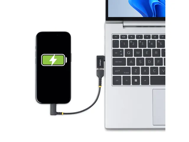 Adaptateur coudé USB-C vers USB-A