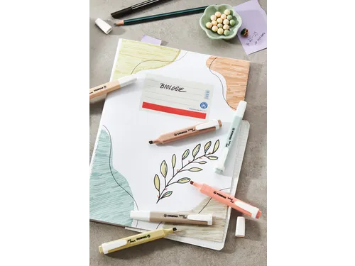 Markeerstift STABILO Swing cool nature colors warmgrijs