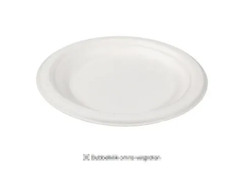 Bord Rond 1-vaks Bagasse 18cm Wit doos 500st