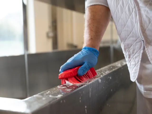 Vikan 3891-4 UST Kleine Werkborstel Harde vezel 176mm Rood