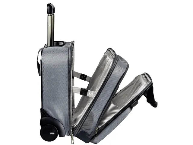Carry-On Trolley Leitz Complete Smart Grijs Polyester 15.6 inch
