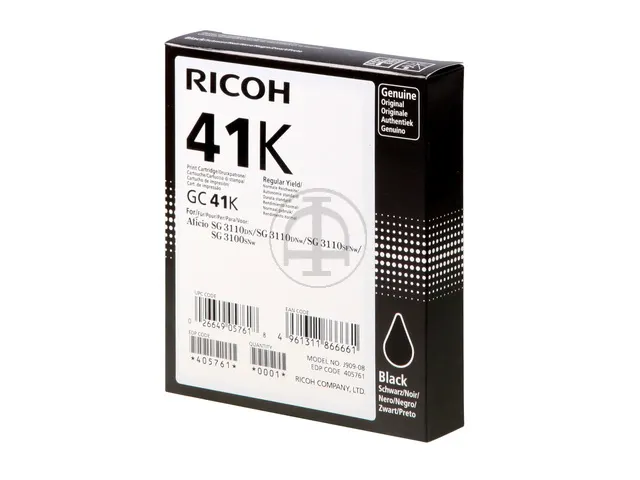 Inktcartridge Ricoh Gc 41 Zwart
