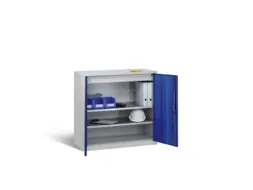 bijzetkast,HxBxD 1000x1000x500mm,romp RAL7035,front RAL3003
