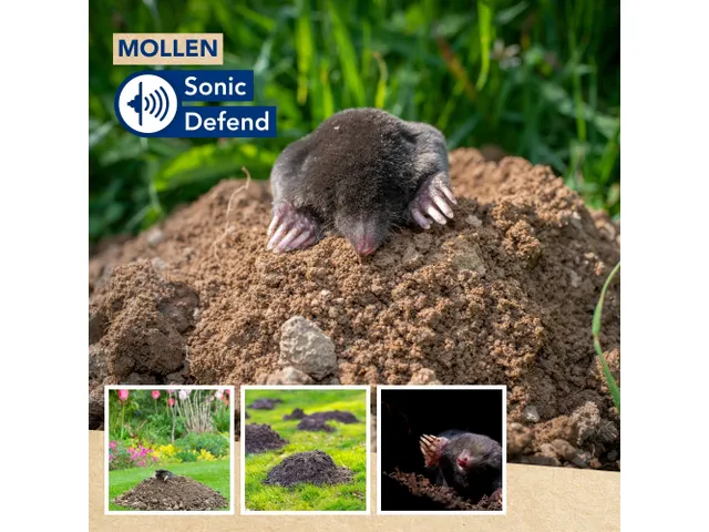 Mollenverjager op zonne-energie voor tuin