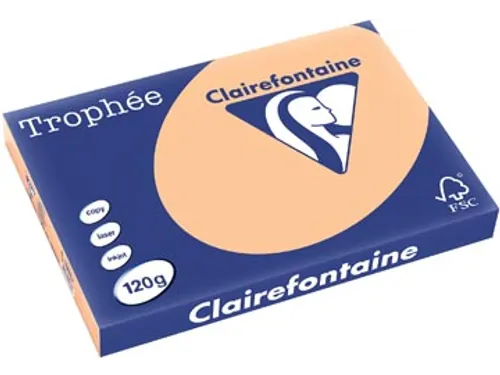 Trophée Pastel gekleurd papier A3 120 gram 250vel Abrikoos