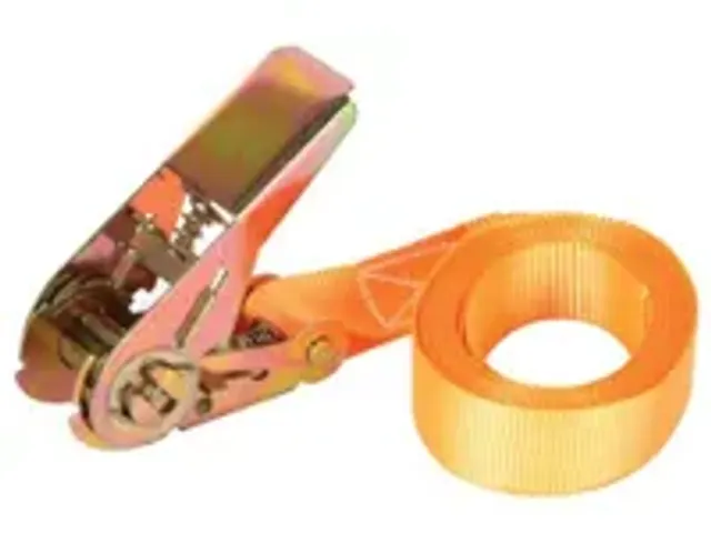 OUTLET Ratelspanband - MAX. 1000kg - 3.65m x 25mm