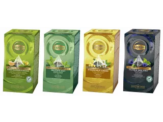 Thee Lipton Exclusive groene thee mandarijn sinaasappel 25 pramidezakj - 5