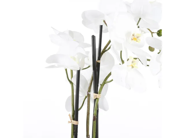 Kunstplant Mica Phalaenopsis orchidee wit in plastic pot 79x51cm