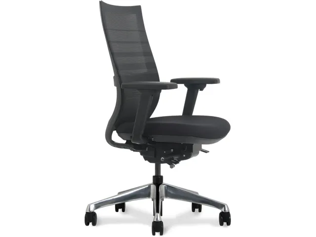 Bureaustoel Deluxe Zwart met Lendensteun Ergonomisch