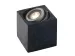 Garden Lights - Xerus - Spotlicht - 12V - 47LM - 2W - 6000K