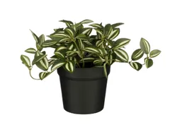 Kunstplant Mica Tradescantia in pot groen 16x16cm