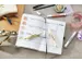 Markeerstift STABILO Swing cool nature colors aardegroen
