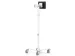 Compulocks MCRSTDEXWPMIP109, 27,7 cm (10.9 inch), Apple, iPad (10th ge
