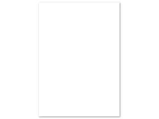 Kopieerpapier Canon Black label Zero A3 80 Gram Pallet - 5