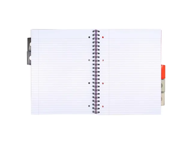 Projectboek Metallic Executive A4 lijn 5-tab 4-gaats 80 gram assorti