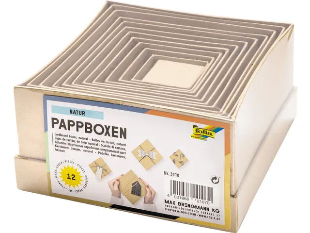 Dozen Decora Vierk Karton 12St Assorti Afm Bruin