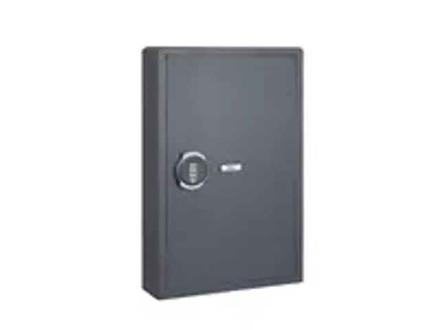OUTLET Armoire à clés Filex KS 140 serrure électronique 140 crochet
