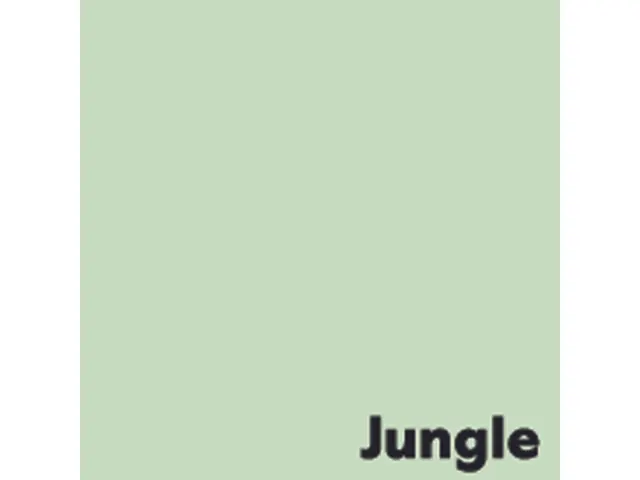 Papier copieur Jungle vert clair A4 80g 500 feuilles