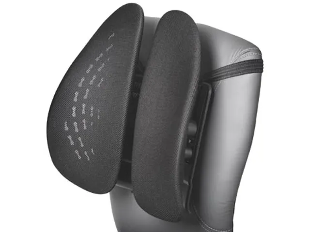 SmartFit rugsteun, zwart