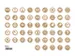 Mini Woodies refill set met 250 ministempel