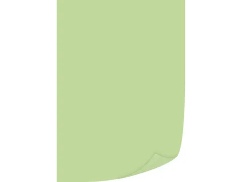 gekleurd kopieerpapier A4 80 gram lichtgroen 500vel