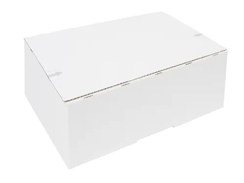 Postpakketbox IEZZY 4 305x215x110mm wit