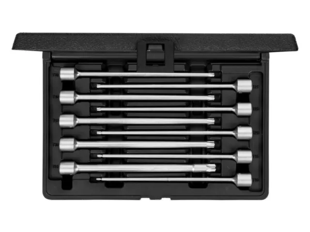 R58003002 Schroevendraaierbits 3/8 TX 10-delig