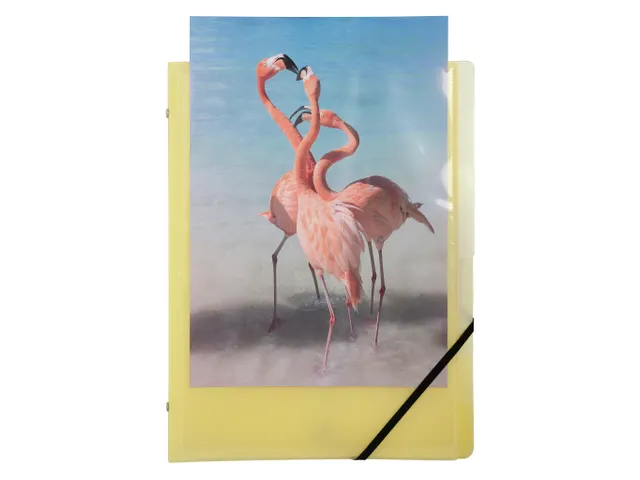 Sorteermap 8 ind KRE ACVER PASTEL geass