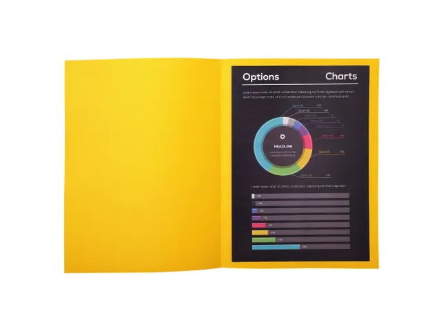 100 dossiermappen ROCK''S 220 24x32cm Citroengeel