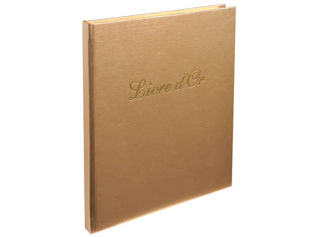 Gastenboek Shiny 21x19cm 140bl ass