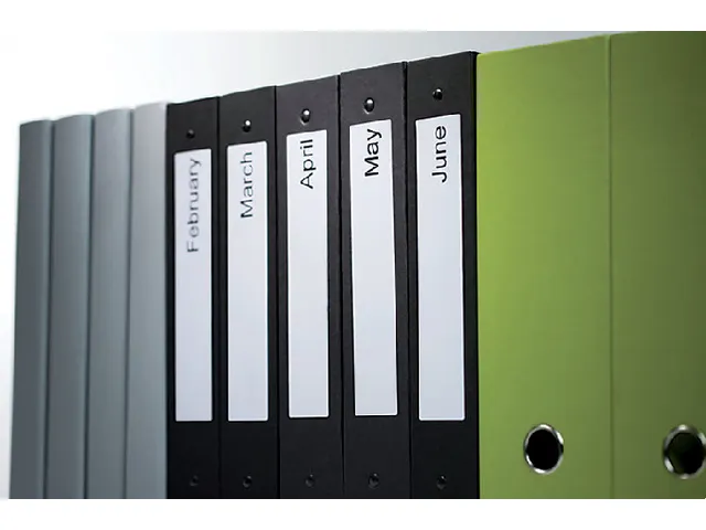 Étiquettes Dymo Labelprint Petit Classeur 38x190mm