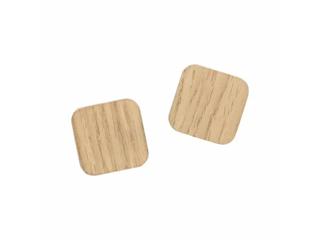 Magneten Naga 25x25mm vierkanteik set a 2st. super sterk