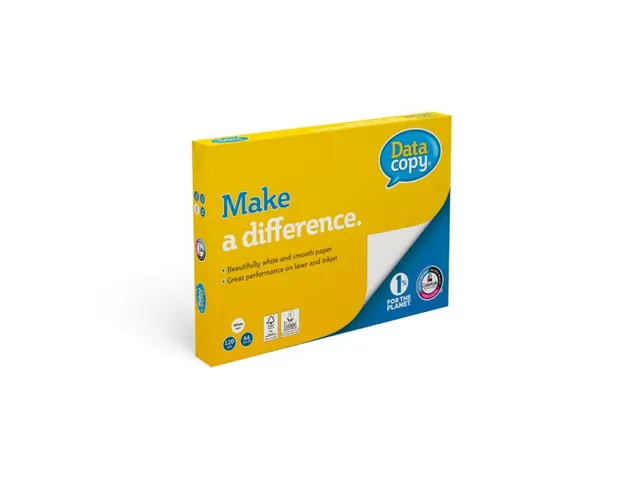 Kopieerpapier Datacopy A4 80 Gram Wit Pallet