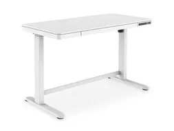 Elektrisch Verstelbaar Bureau 120x60cm USB Wit