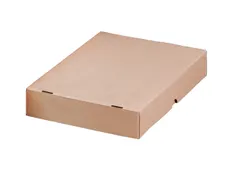 Paraatdoos Raadhuis hersluitbaar 305x215x50mm bruin 10 stuks