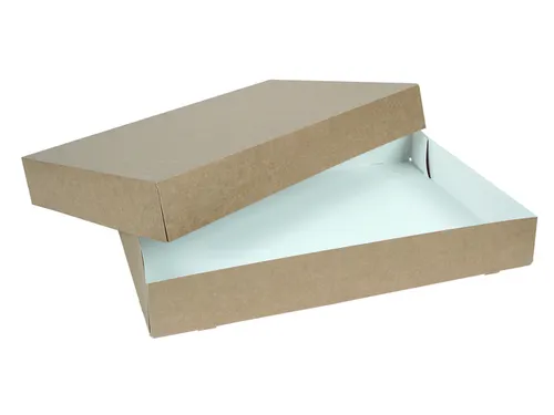 Cateringdoos IEZZY 55cm plasticvrij bruin 10 stuks