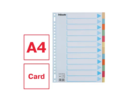 Tabbladen Esselte Premium A4 12-delig karton 23-rings assorti