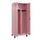 PBM-locker,HxBxD 1950x800x500mm,2vak,vak B 400mm,cil.-slot