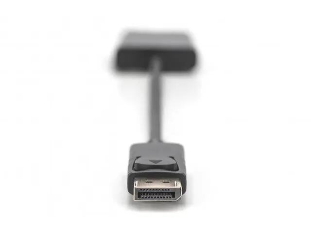 DisplayPort-adapterkabel DP type DVI (24+5) M/F 0,15m Full HD Zwart