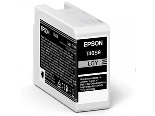 Epson Origineel Inktcartridge UltraChrome Pro 10 C13T46S900 Licht grij