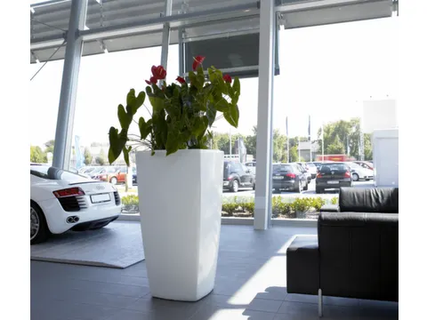 plantenpot,trapeziumvormig,PE,signaalwit,HxBxD 900x470x470mm,38l