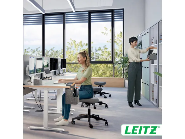Leitz hangende draagbare bureau organizer met handvat donkergrijs