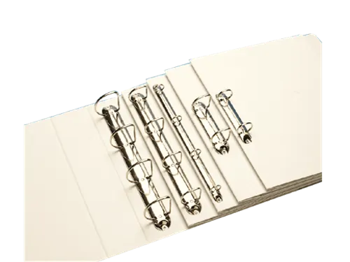 Presentatie Ringband Esselte 4 rings A4 25mm D-mech Panorama Blauw