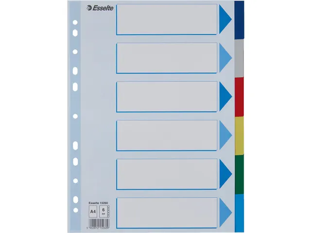 Esselte Tabbladen 6 Tabs