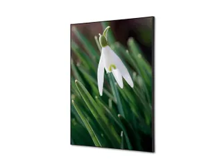 Wanddecoratie Textiel Set A2 Witte Bloem Sneeuwklokje - 1